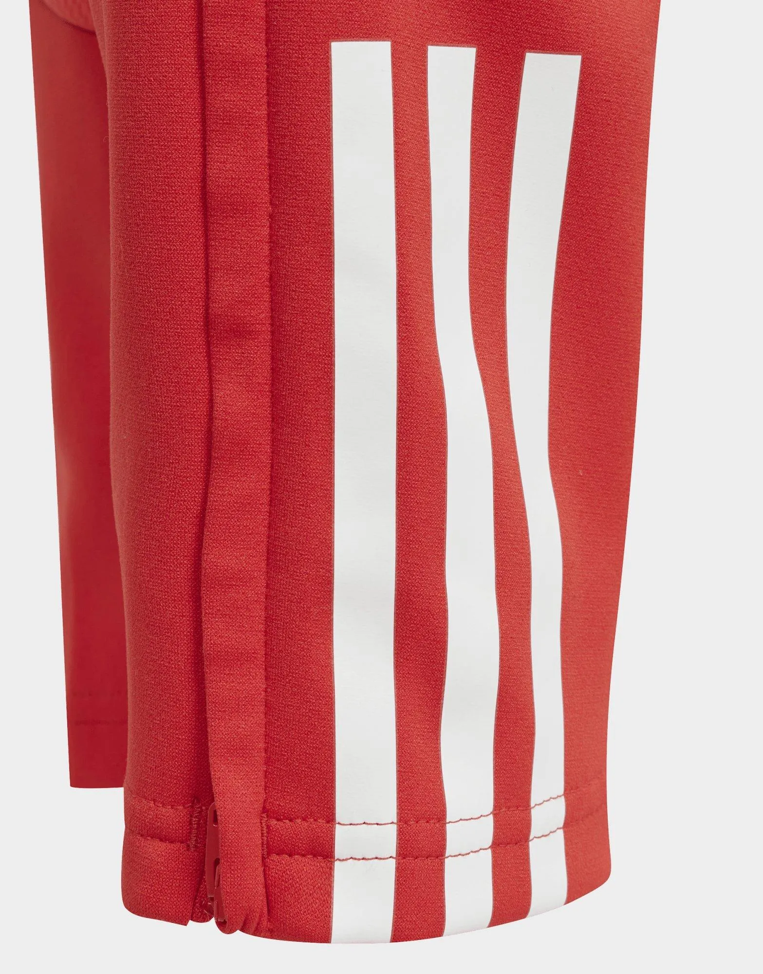 adidas Pantalón entrenamiento FC Bayern Tiro 23 (Adolescentes)