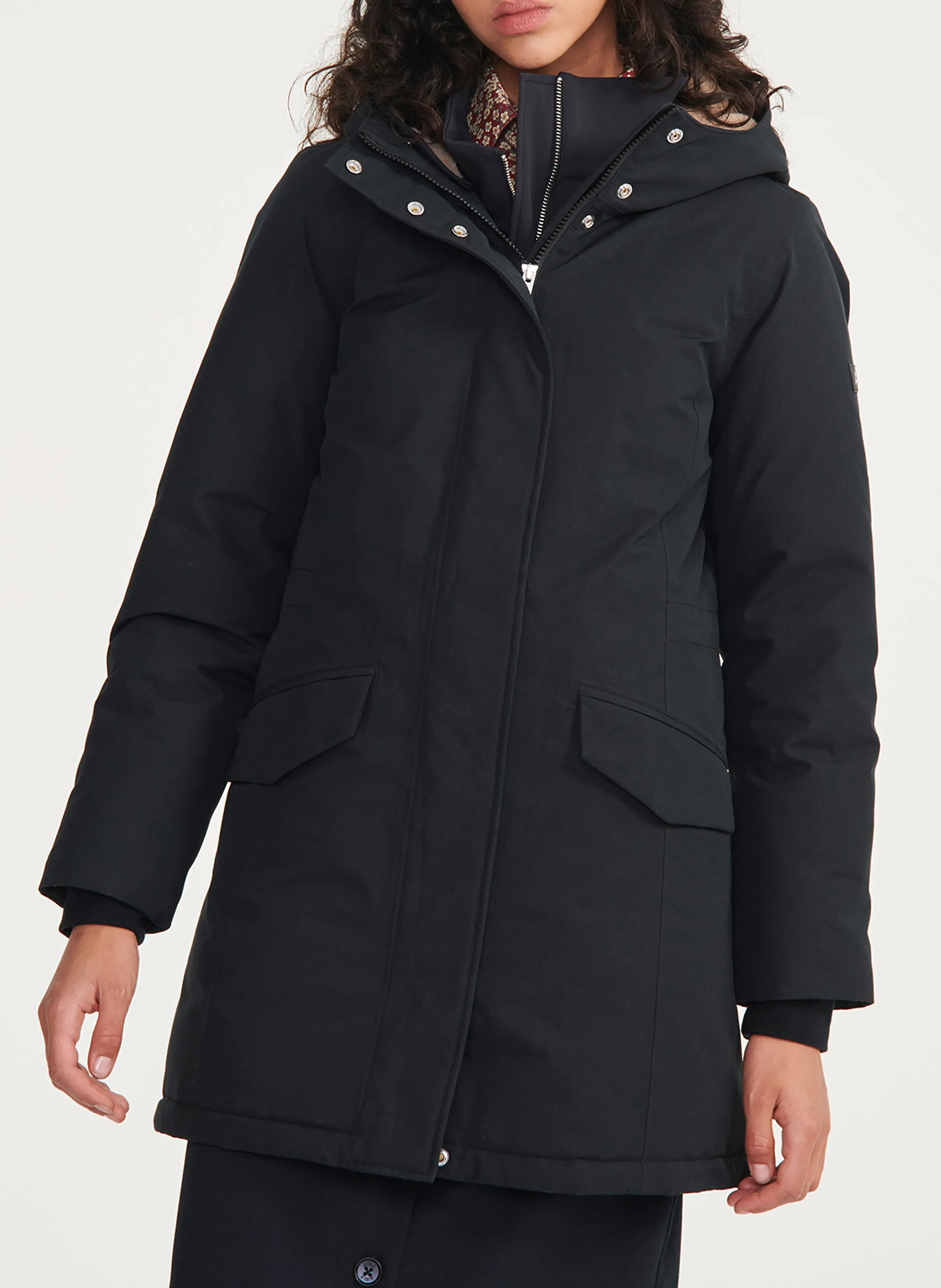 AIGLE  EN NEGRO
