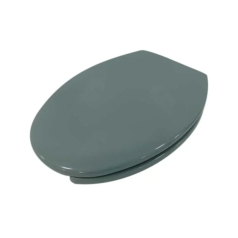 Asiento con Tapa Alargado Verde Mar para WC Exel Premium 96