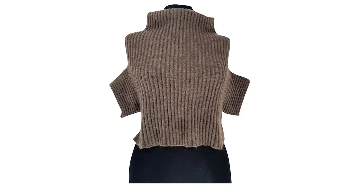 Brunello Cucinelli Prendas de punto Castaño 