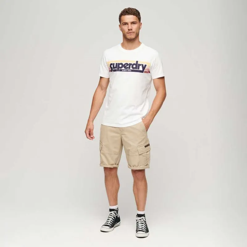 Camiseta Para Hombre Terrain Striped Logo Superdry