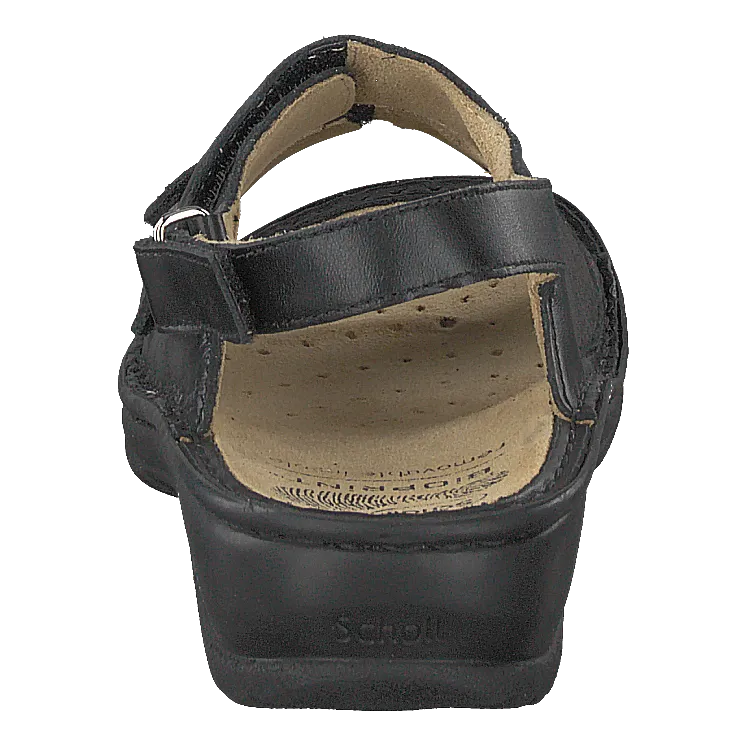 Scholl Joline Sandal Black