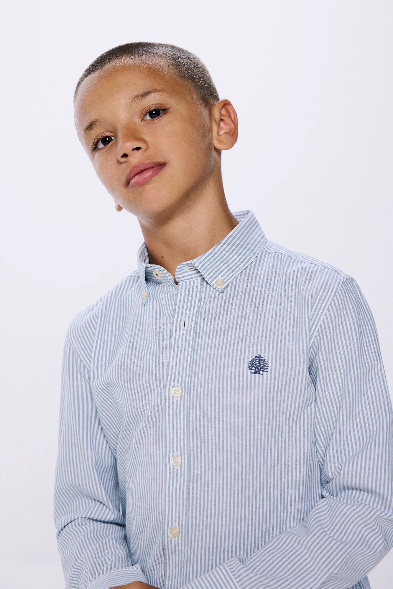 Springfield Kids Camisa pinpoint raya niño
