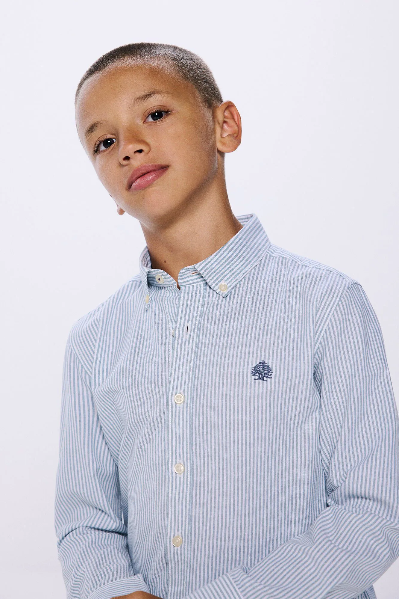Springfield Kids Camisa pinpoint raya niño