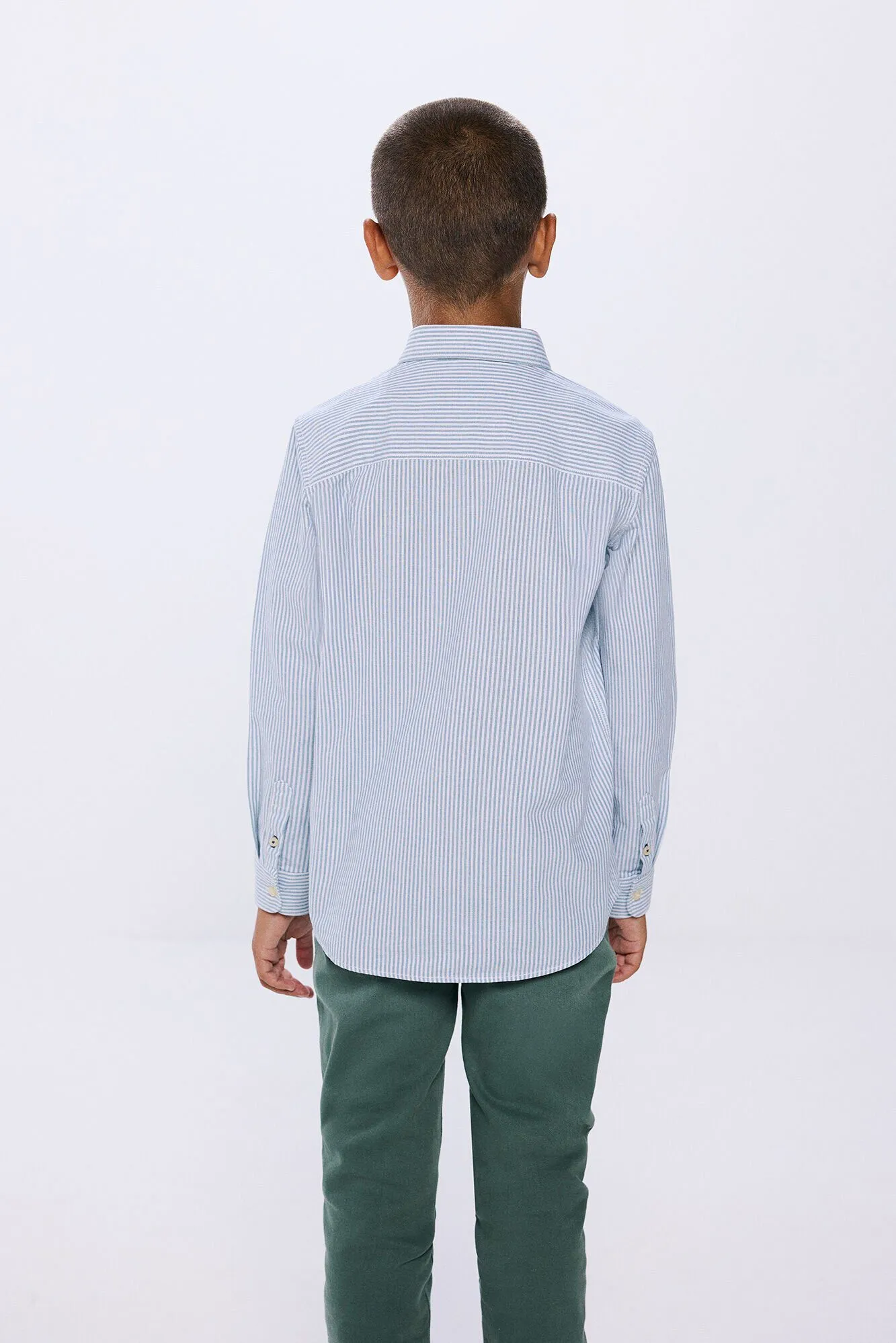Springfield Kids Camisa pinpoint raya niño