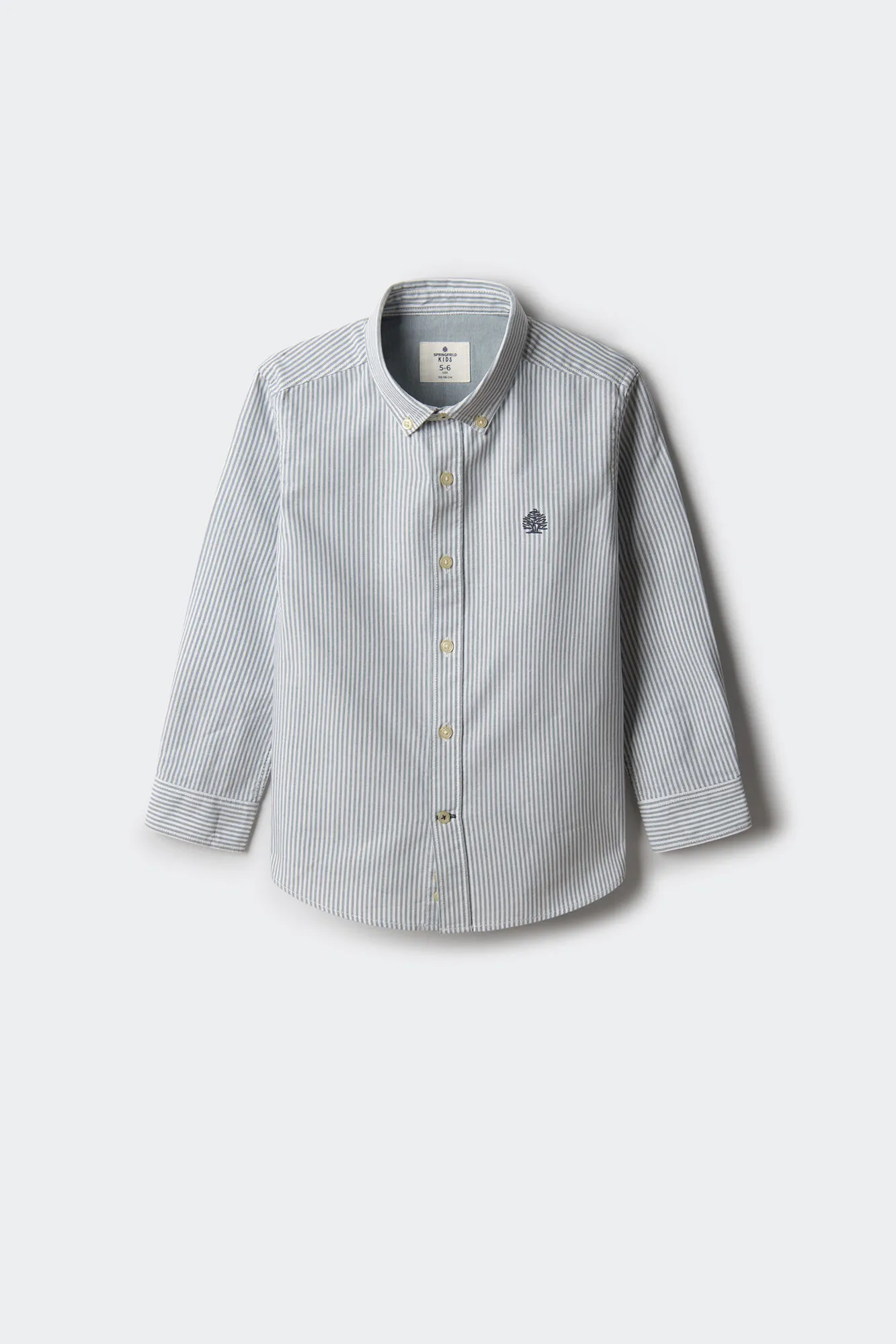 Springfield Kids Camisa pinpoint raya niño