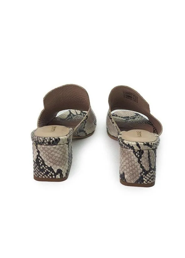 Zapatos Kaanas